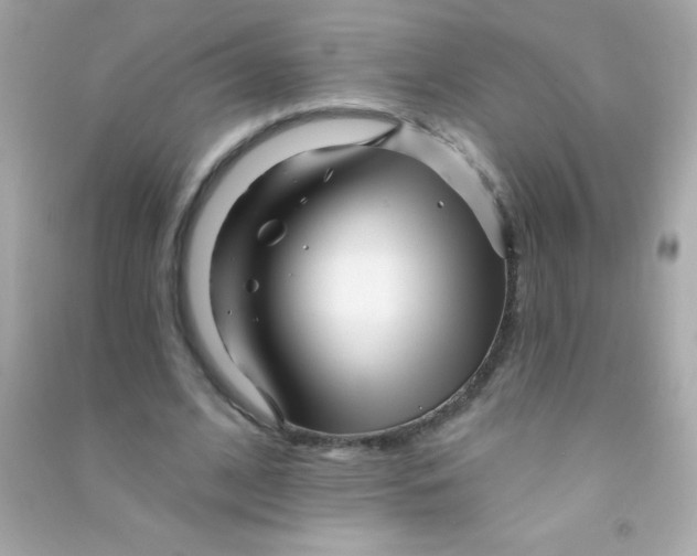 X0000090480584200708102159
