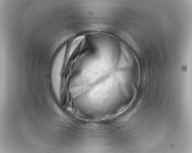 X0000090480585200708102159