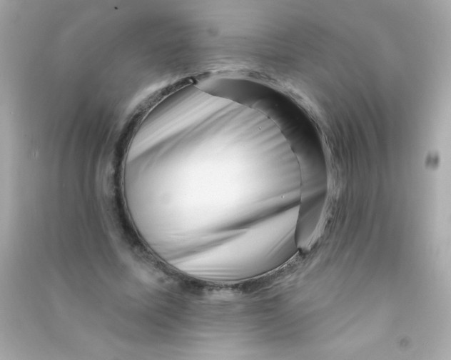 X0000090480587200708102159