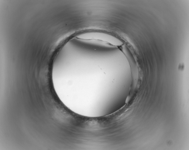 X0000090480588200708102159