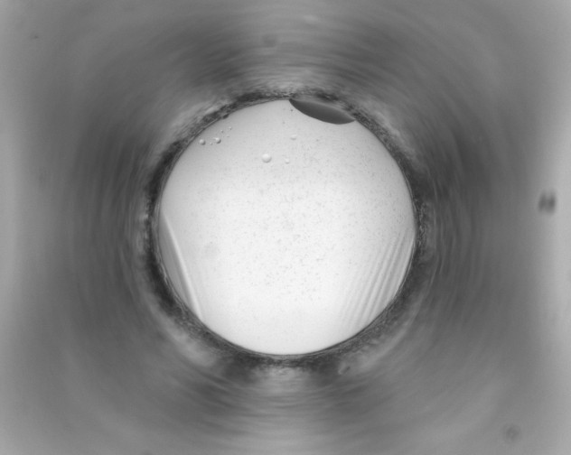 X0000090480590200708102159
