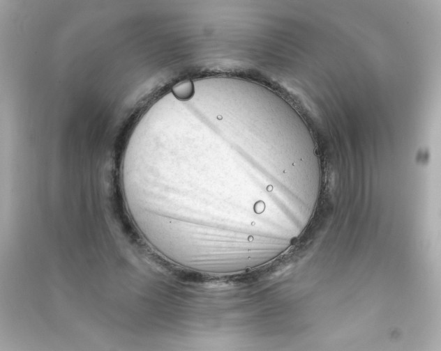 X0000090480591200708102158