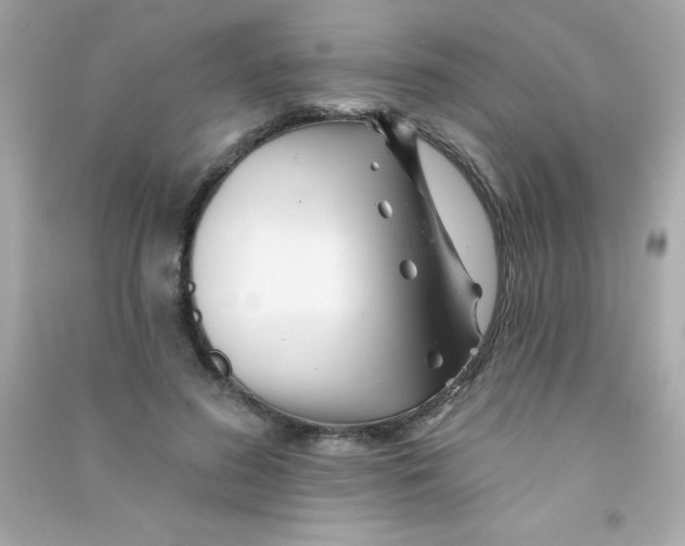 X0000090480596200708102158