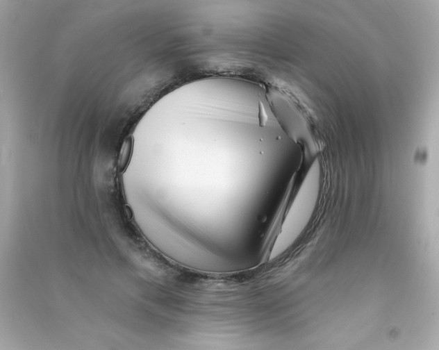X0000090480597200708102158