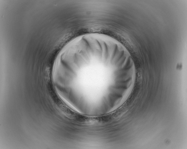 X0000090480598200708102158