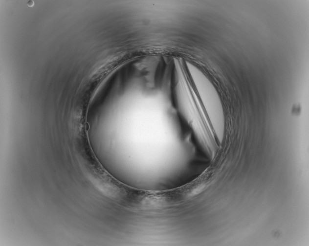 X0000090480599200708102158