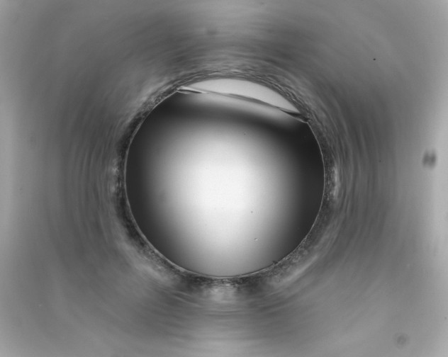 X0000090480600200708102158