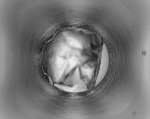 X0000090480601200708102158