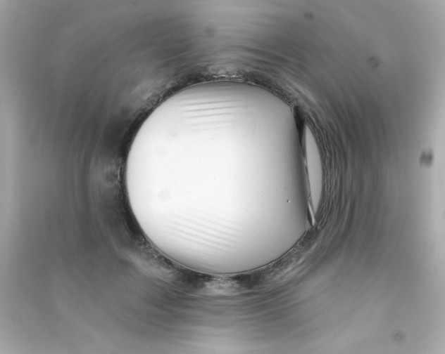 X0000090480603200708102158