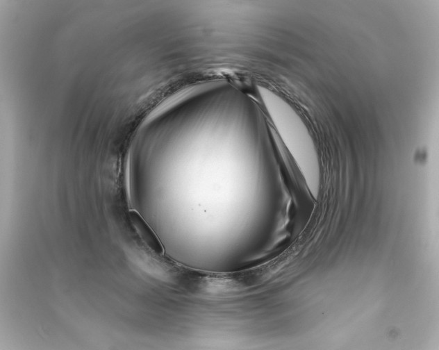 X0000090480605200708102158