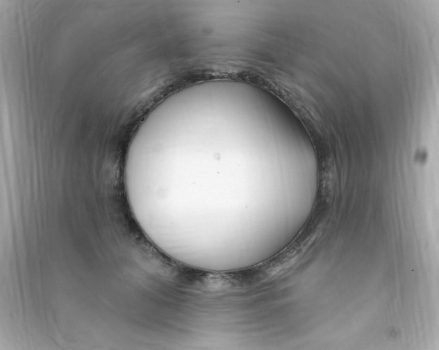 X0000090480608200708102158