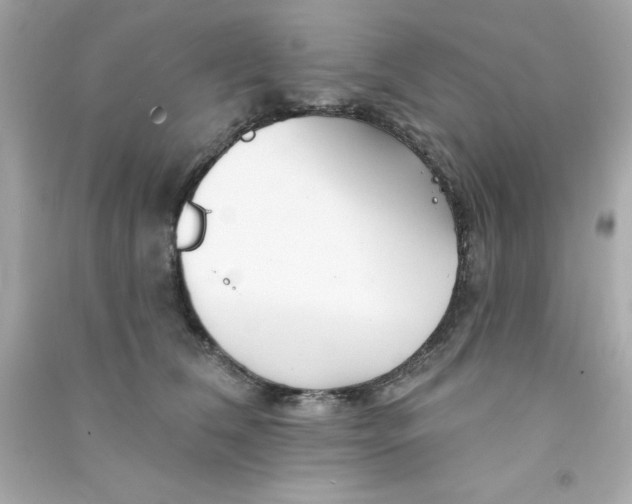 X0000090480612200708102158
