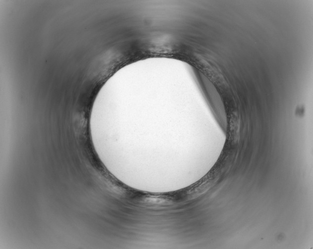X0000090480614200708102158