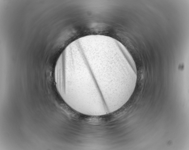 X0000090480615200708102158