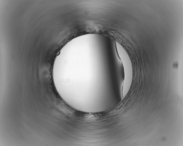 X0000090480616200708102158