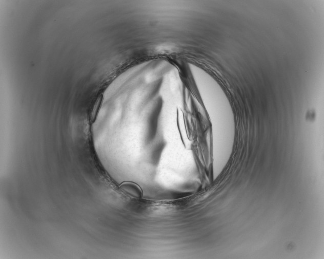 X0000090480617200708102158