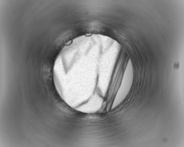 X0000090480619200708102158