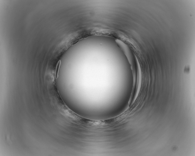 X0000090480621200708102158