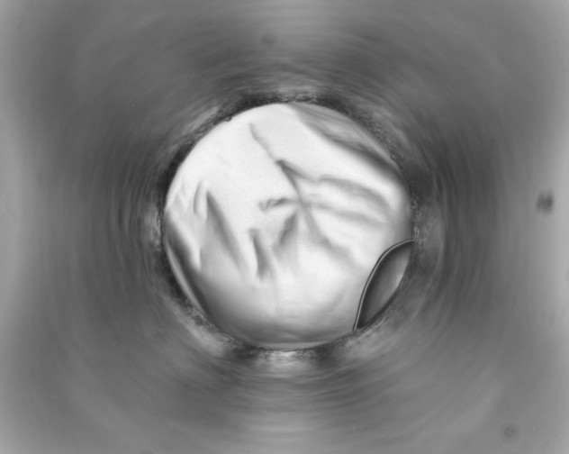 X0000090480622200708102158
