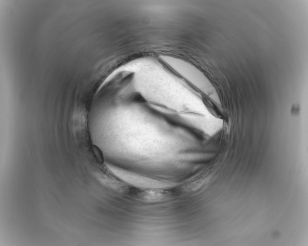 X0000090480623200708102158
