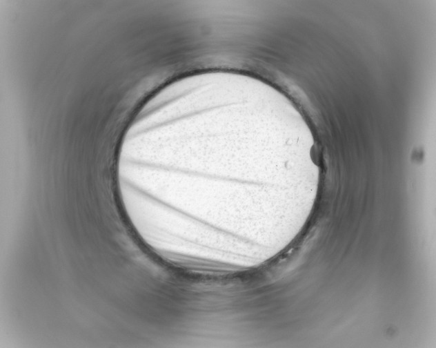 X0000090480625200708102157