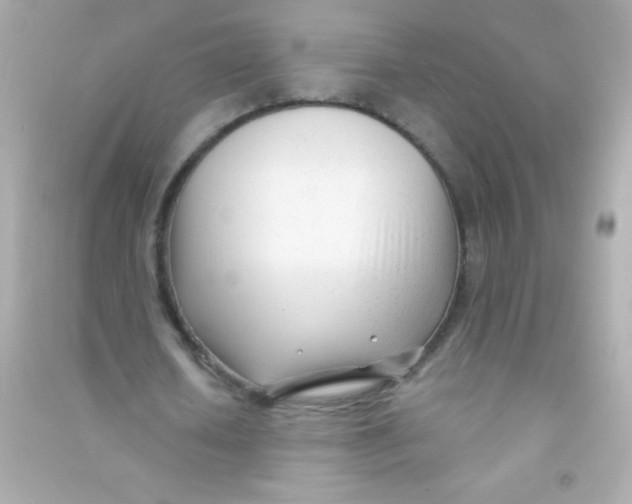 X0000090480626200708102157