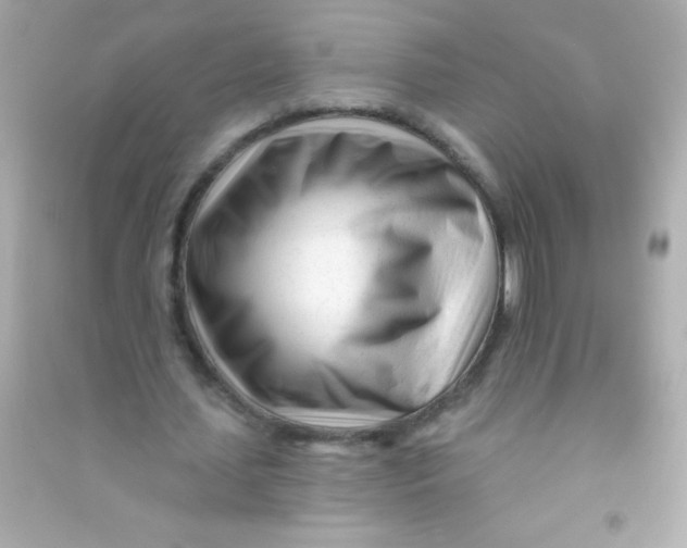 X0000090480627200708102157