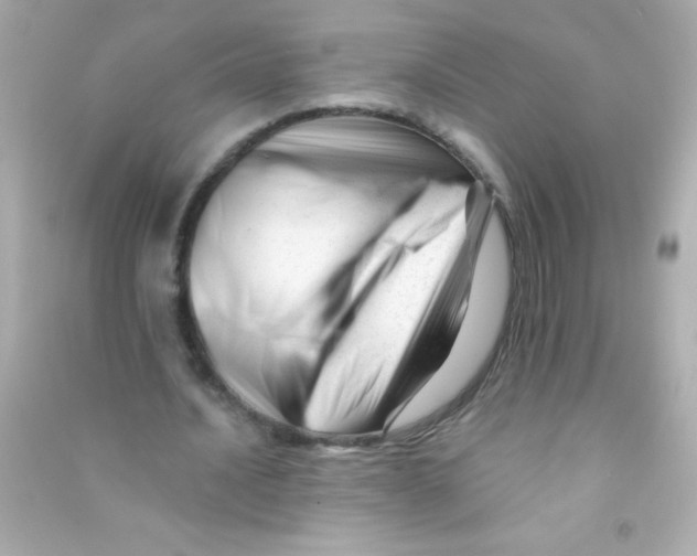 X0000090480628200708102157