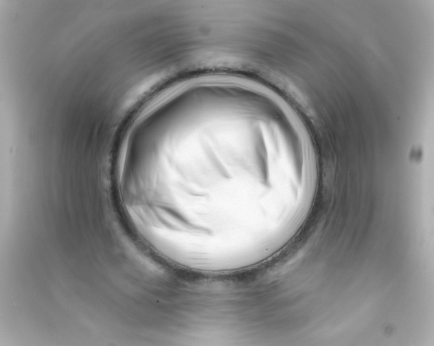 X0000090480629200708102157