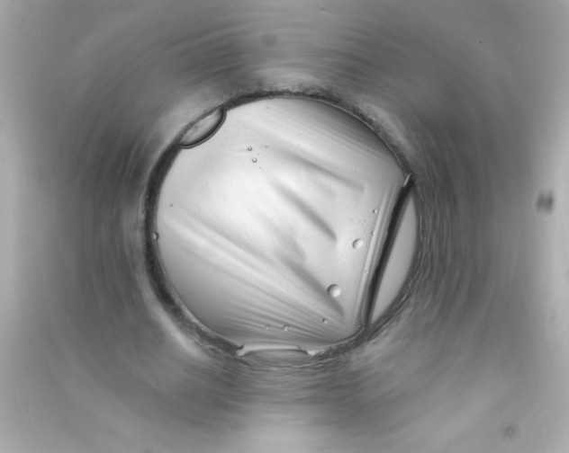 X0000090480630200708102157