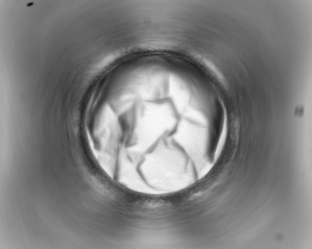 X0000090480631200708102157
