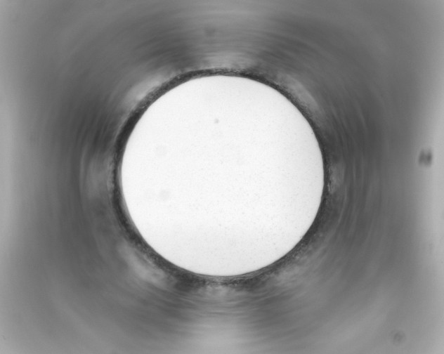 X0000090480632200708102157