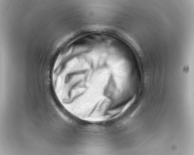 X0000090480633200708102157