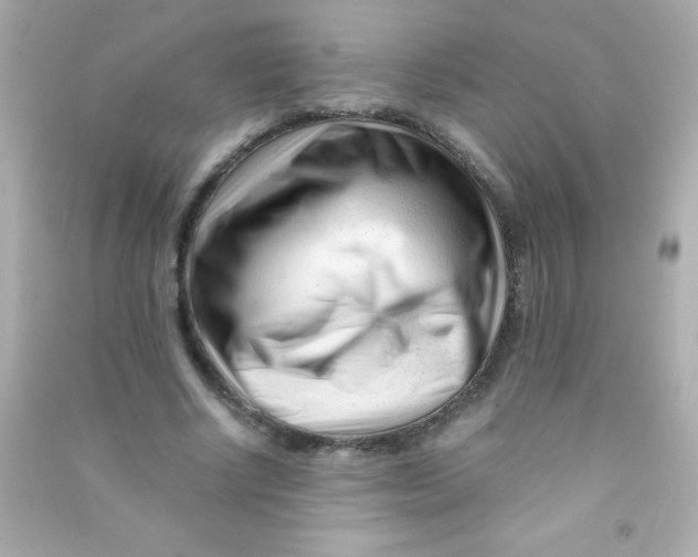 X0000090480634200708102157