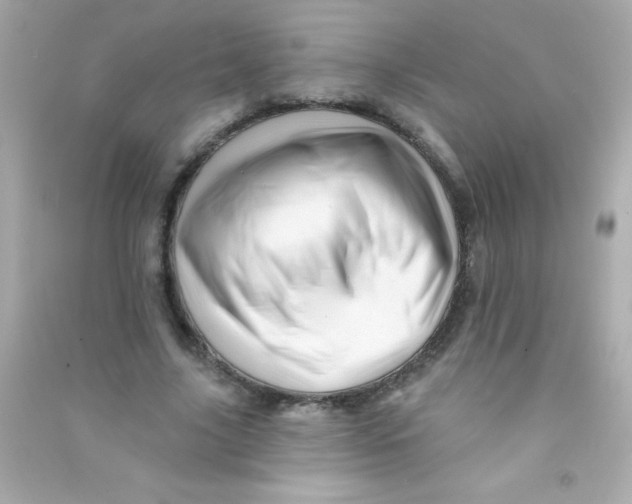 X0000090480635200708102158