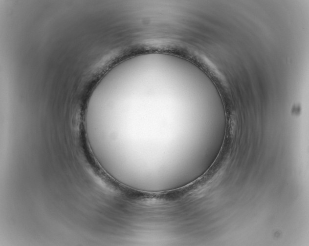 X0000090480637200708102158