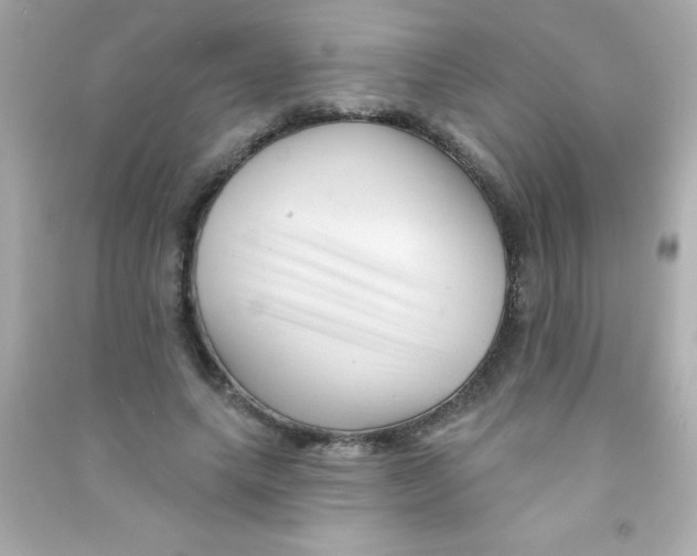 X0000090480639200708102158