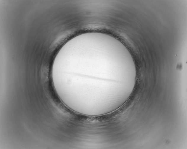 X0000090480640200708102158