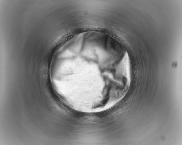 X0000090480642200708102158