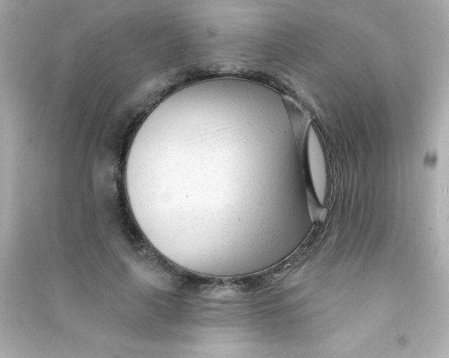 X0000090480643200708102158