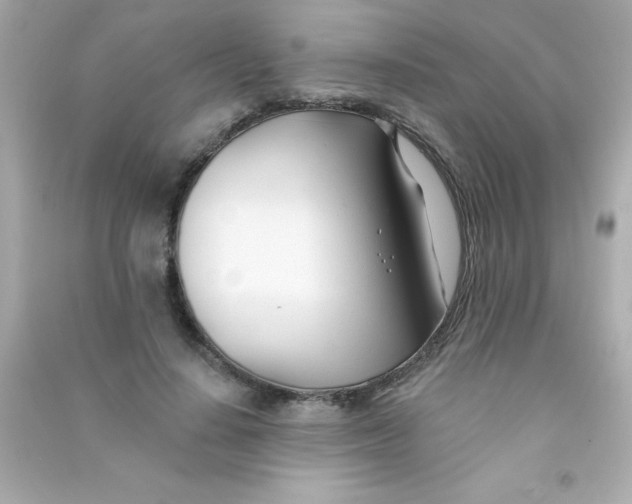 X0000090480644200708102158