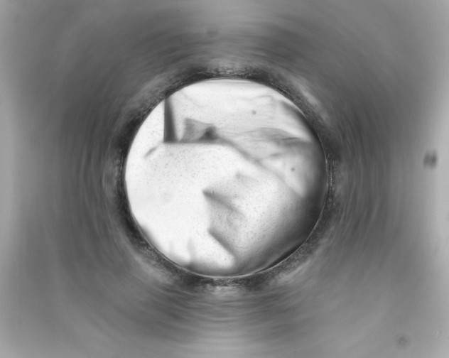 X0000090480645200708102158