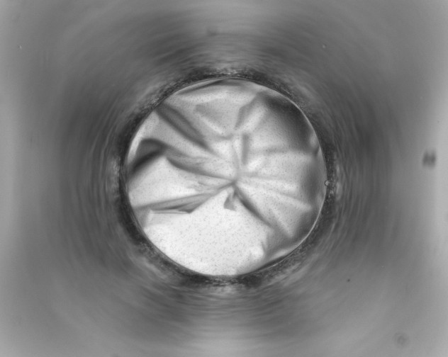 X0000090480646200708102158