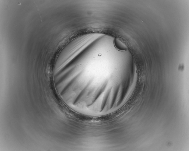 X0000090480647200708102158