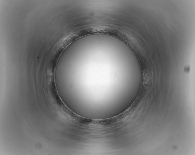X0000090480648200708102158