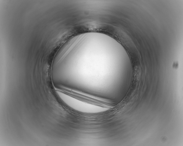 X0000090480650200708102158