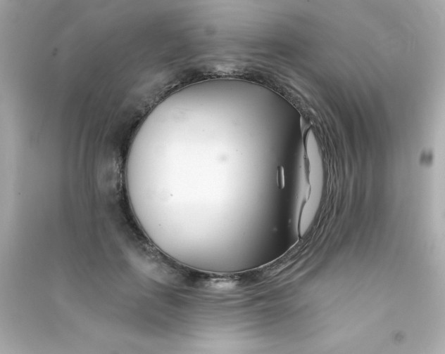 X0000090480651200708102158
