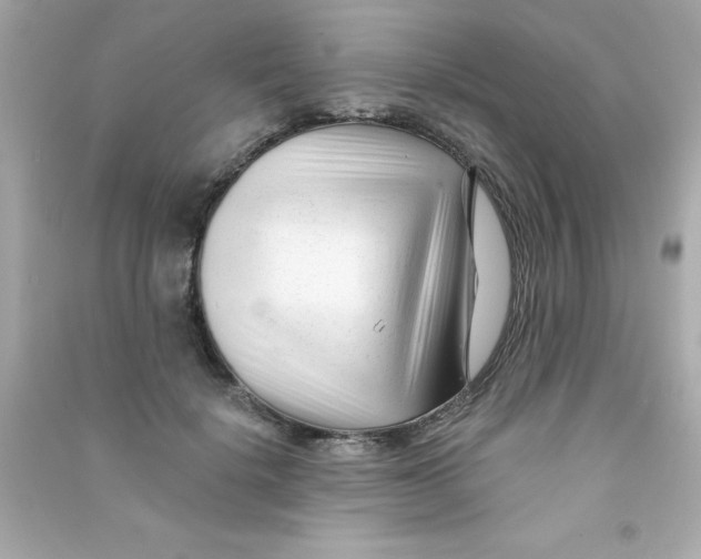 X0000090480652200708102158