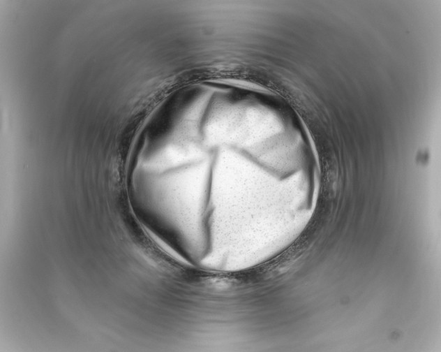 X0000090480654200708102158