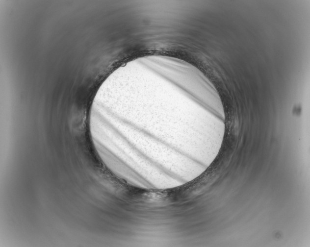X0000090480660200708102158